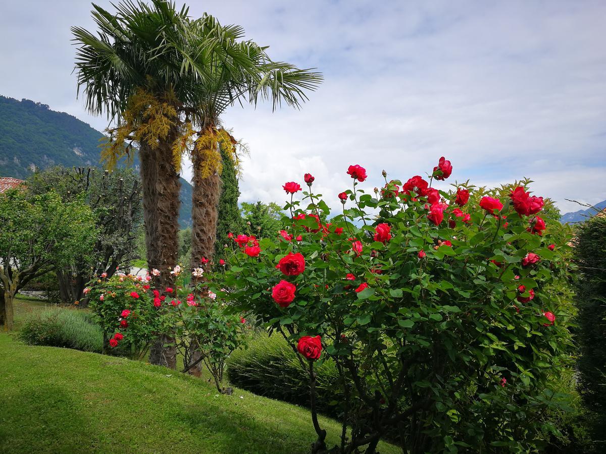 Bellagio Lake View Villa Oliveto Lario Екстериор снимка