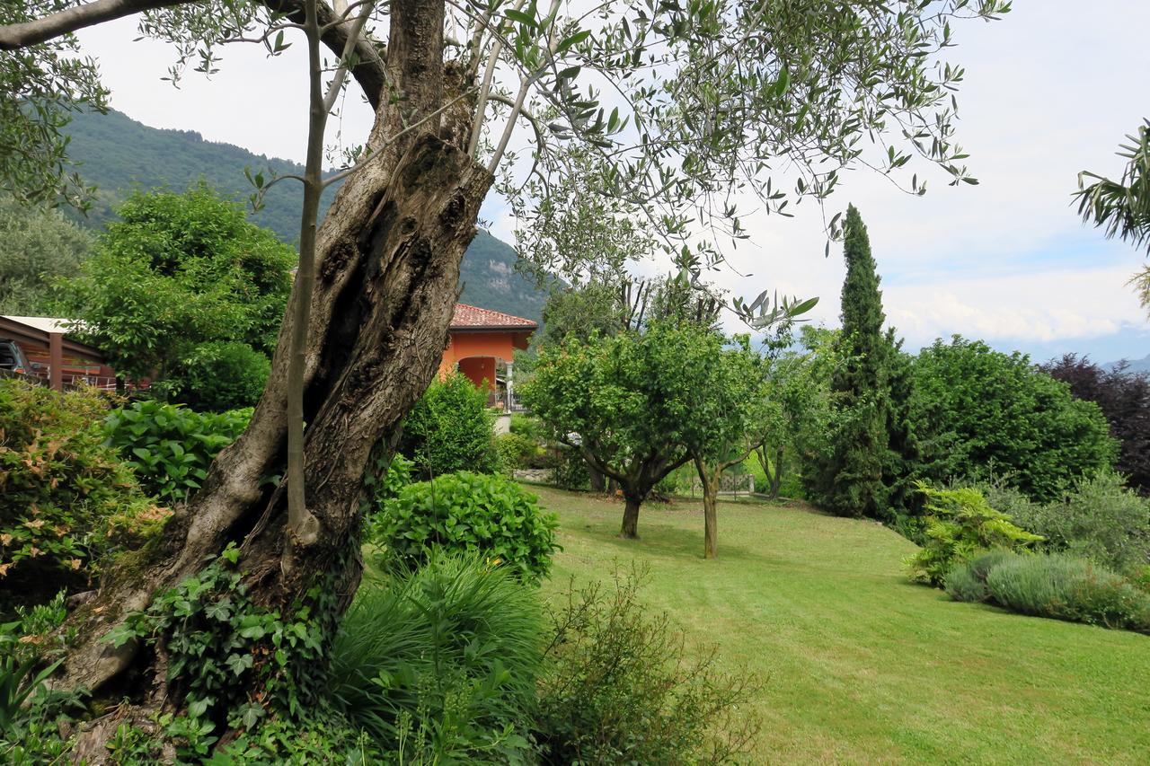 Bellagio Lake View Villa Oliveto Lario Екстериор снимка